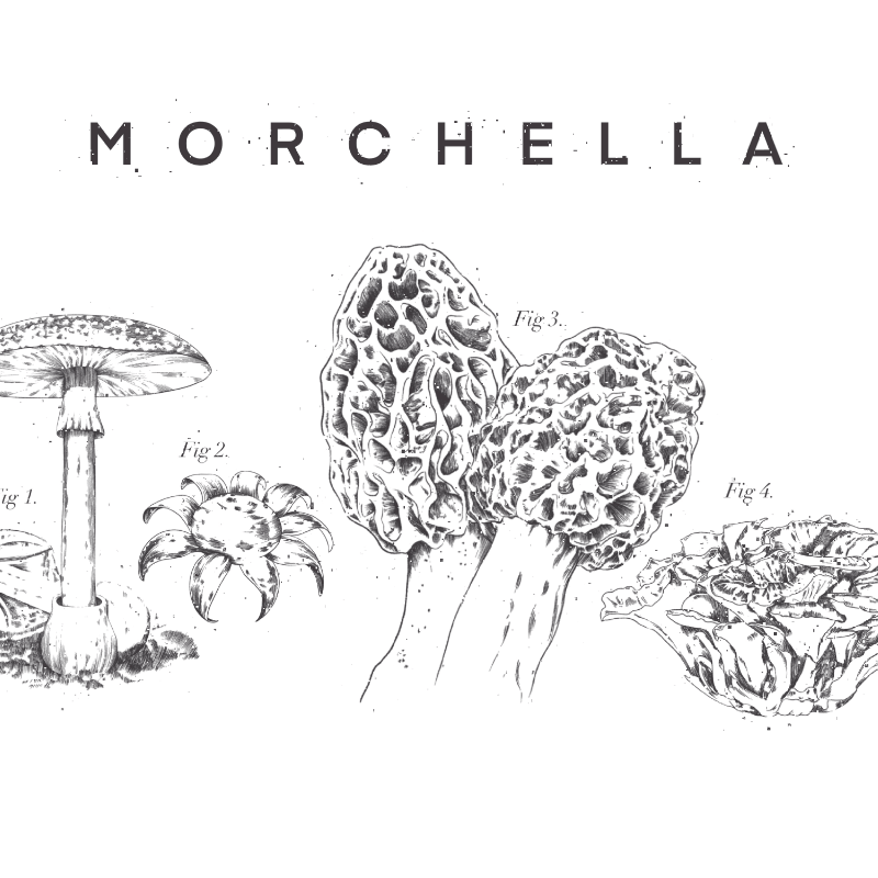 Perilla Dining Limited logo